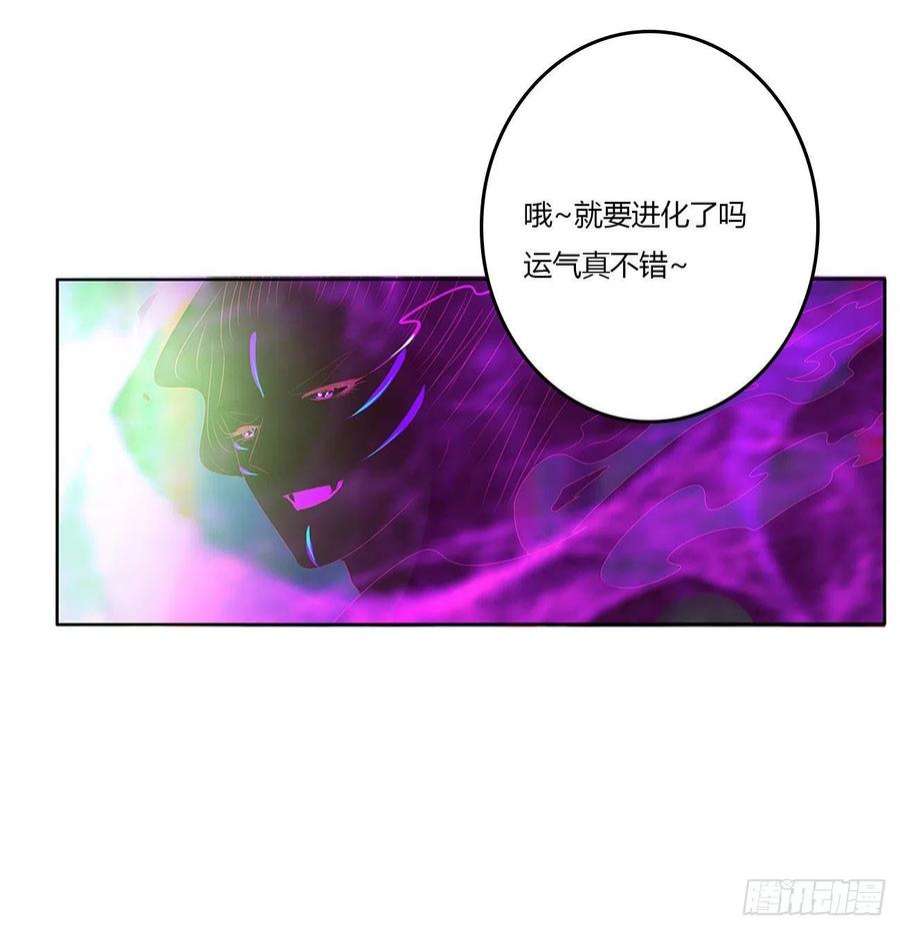 通灵妃圣君请留步