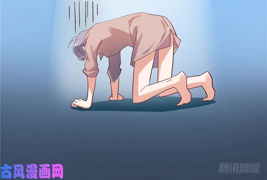 国民校草是女生第一话 我家少爷脑子有坑！