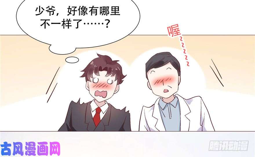 国民校草是女生第一话 我家少爷脑子有坑！