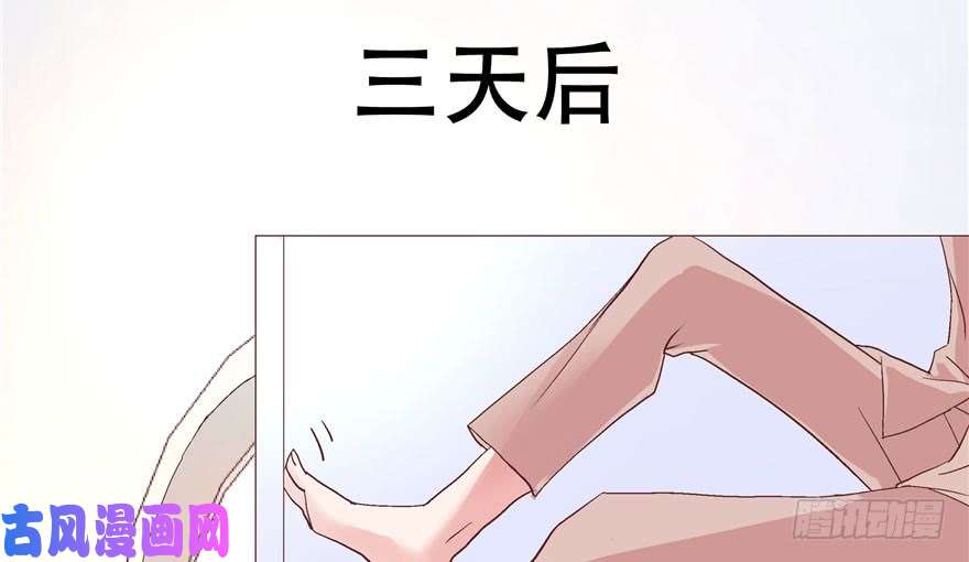 国民校草是女生第一话 我家少爷脑子有坑！