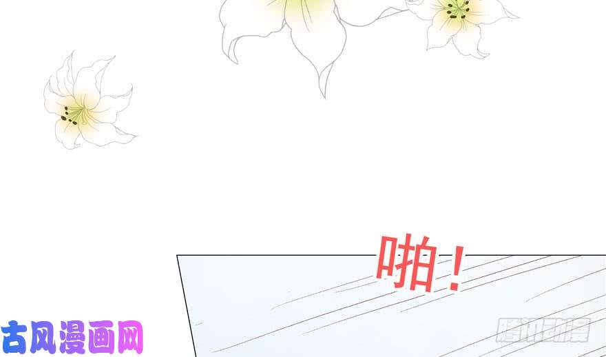 国民校草是女生第一话 我家少爷脑子有坑！