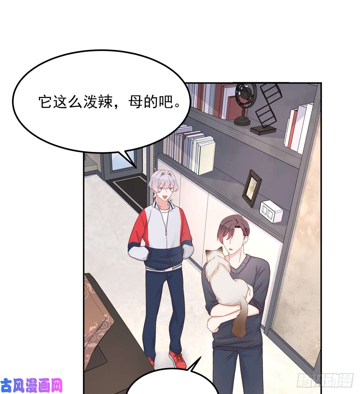 国民校草是女生第五十一话 合格的好哥哥