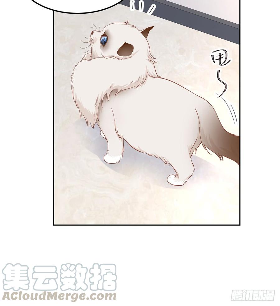 国民校草是女生五十一话 合格的好哥哥
