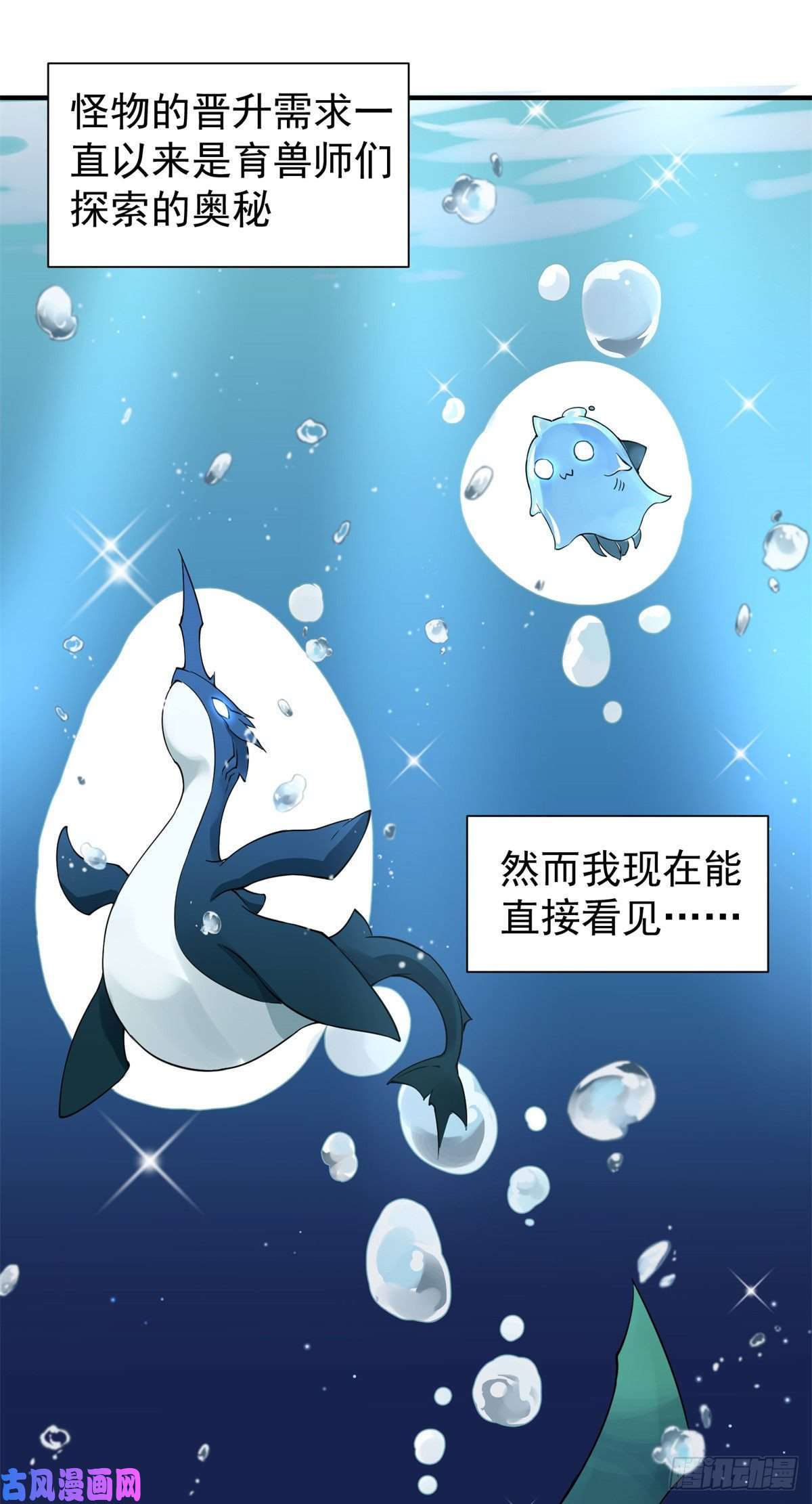 神宠进化002 是时候展示真正的技术了