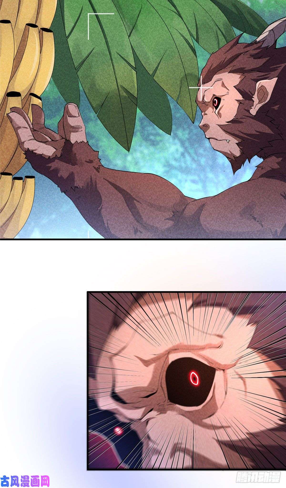 神宠进化004 文试打脸