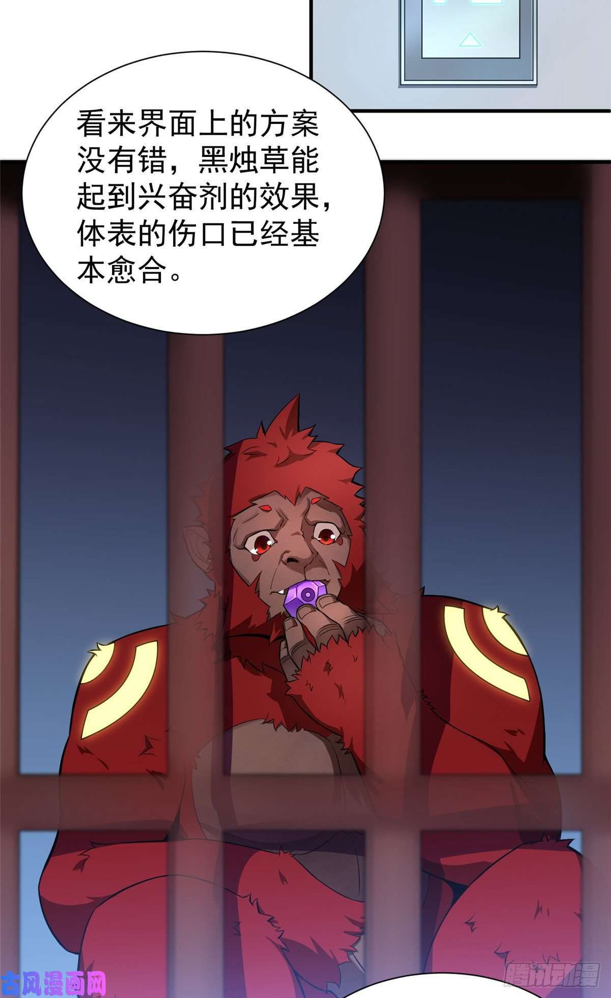 神宠进化006 扭曲进化