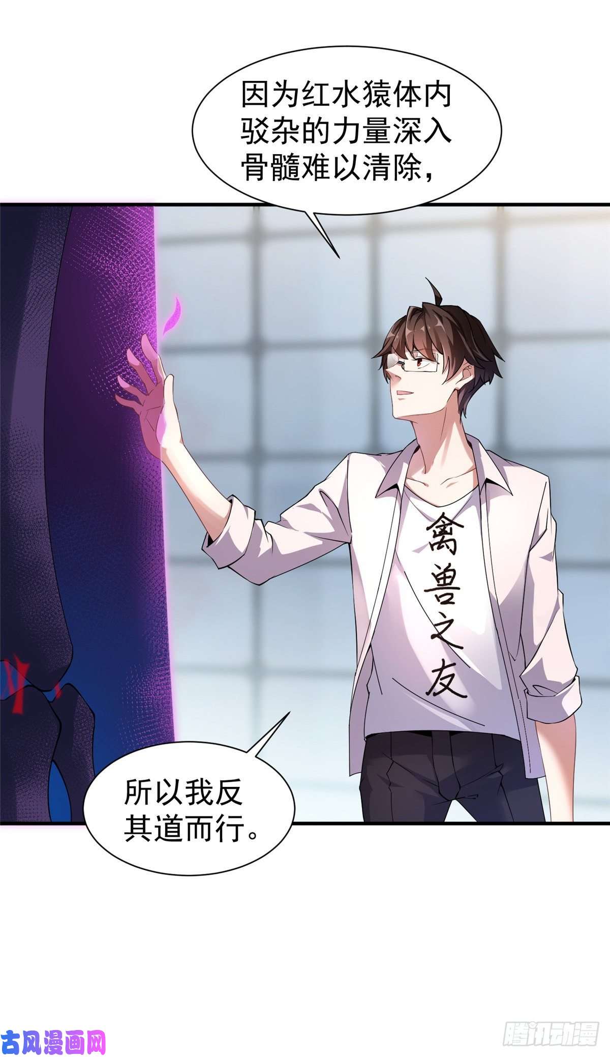 神宠进化008 中级育兽师证书