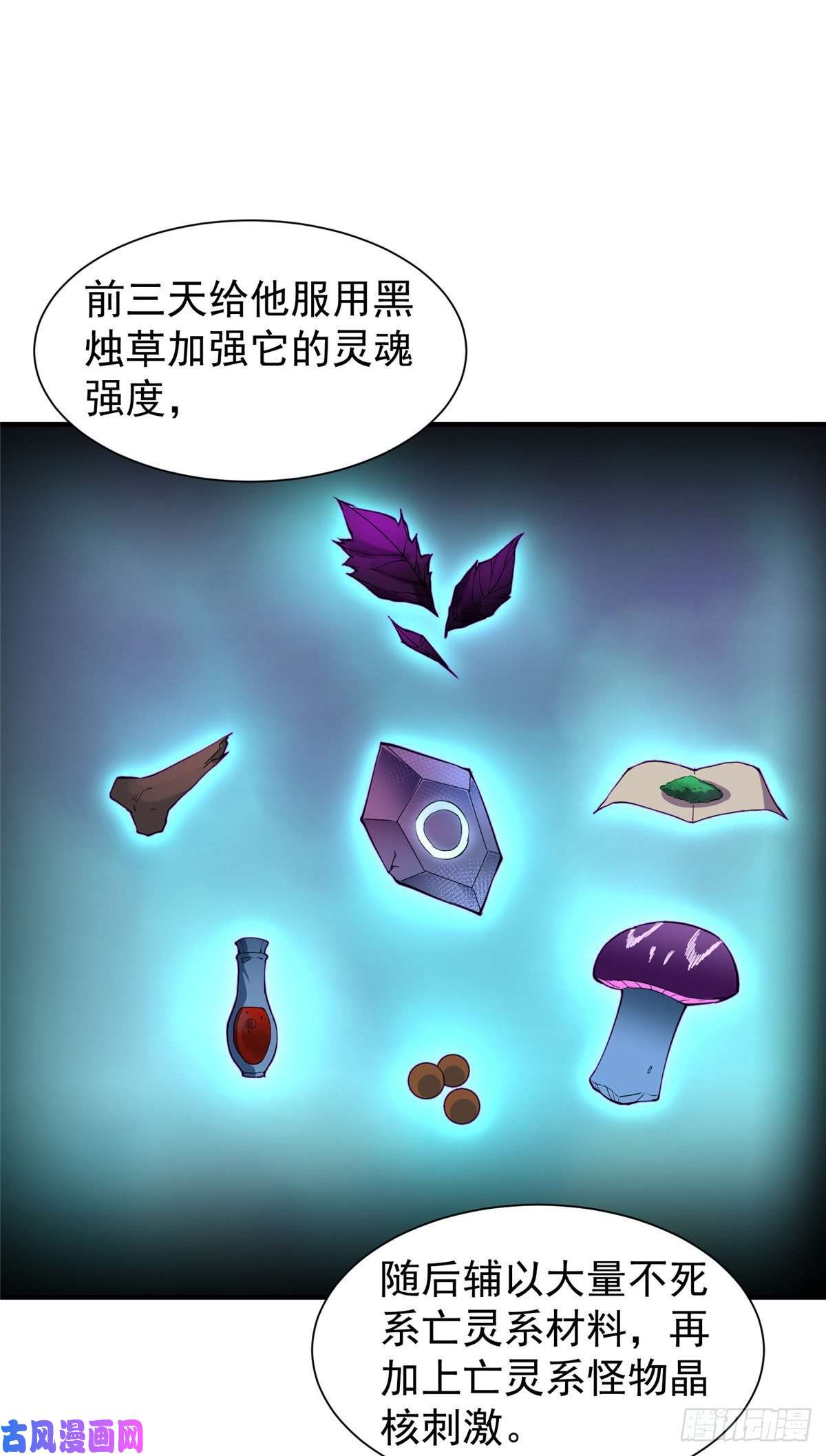 神宠进化008 中级育兽师证书