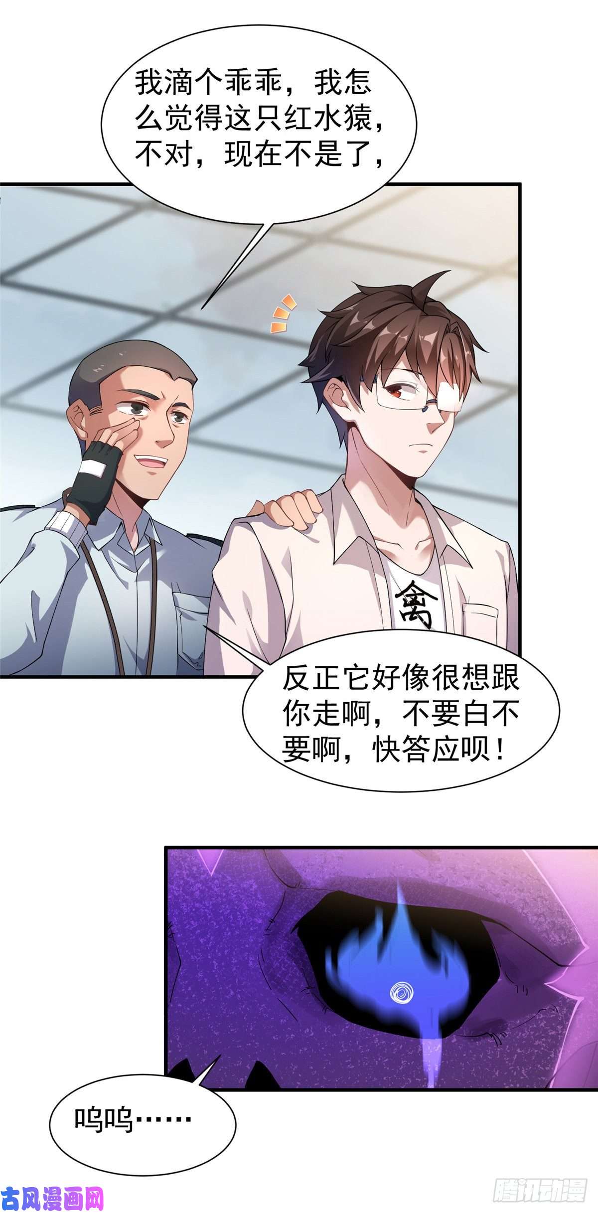 神宠进化008 中级育兽师证书