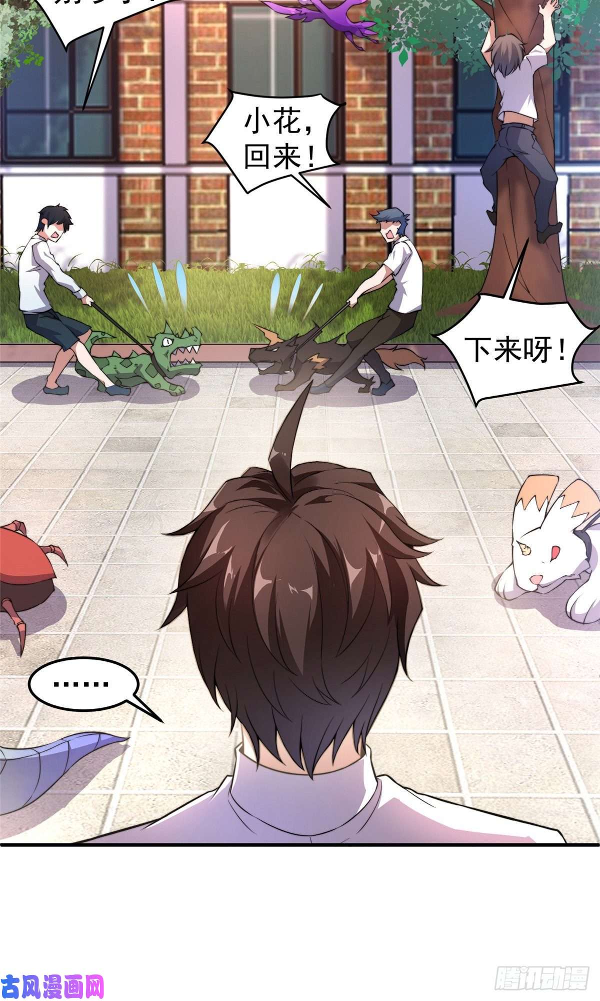 神宠进化014 雷花果