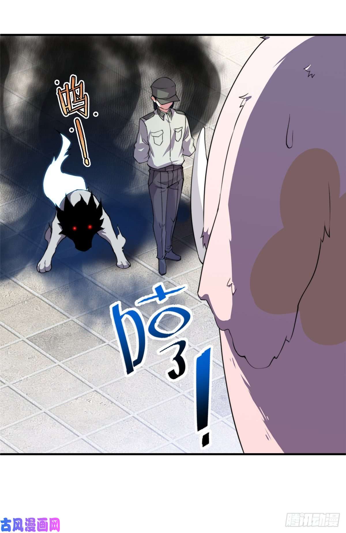 神宠进化014 雷花果