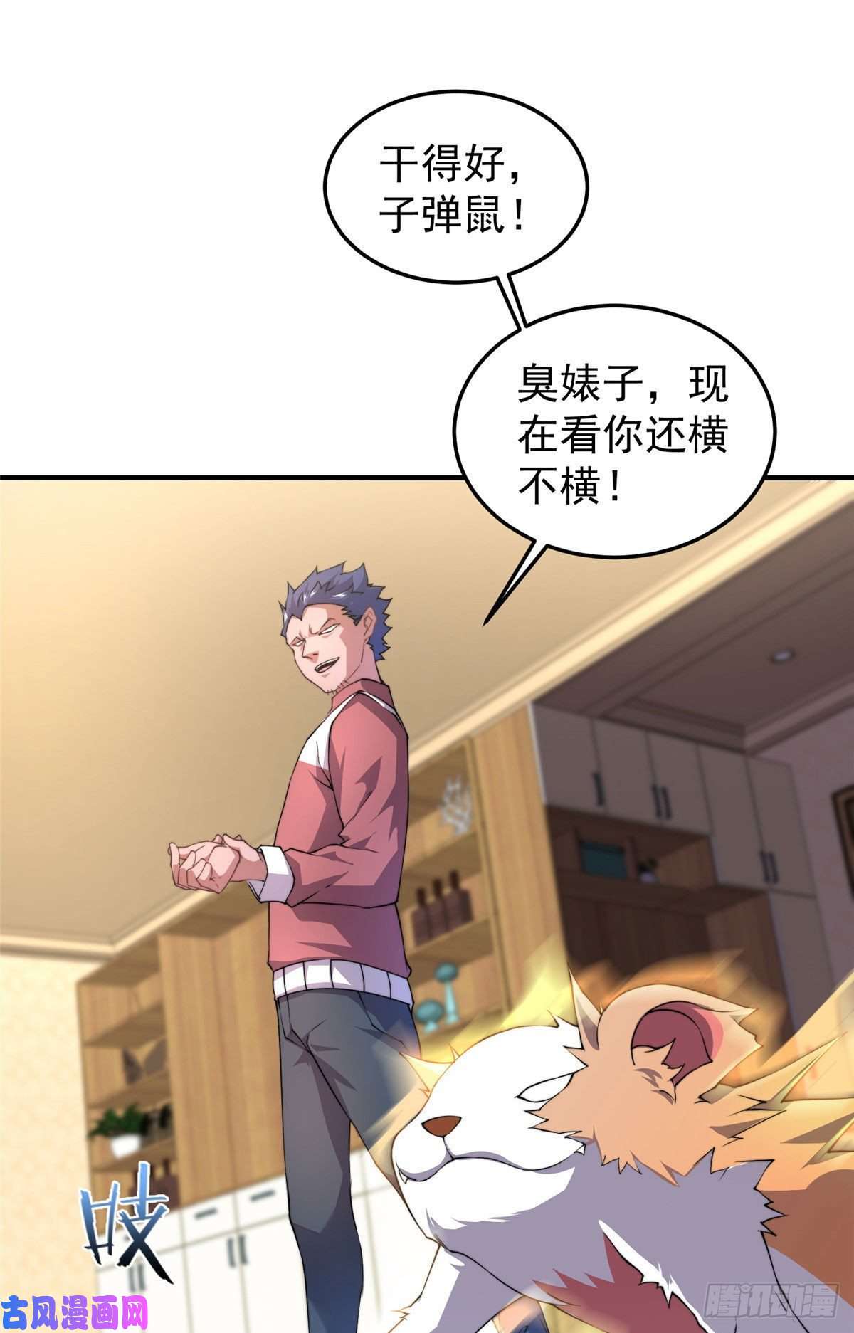 神宠进化023 薄荷猫