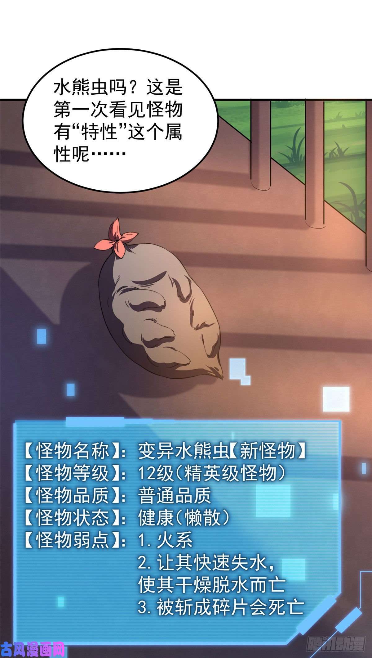 神宠进化023 薄荷猫