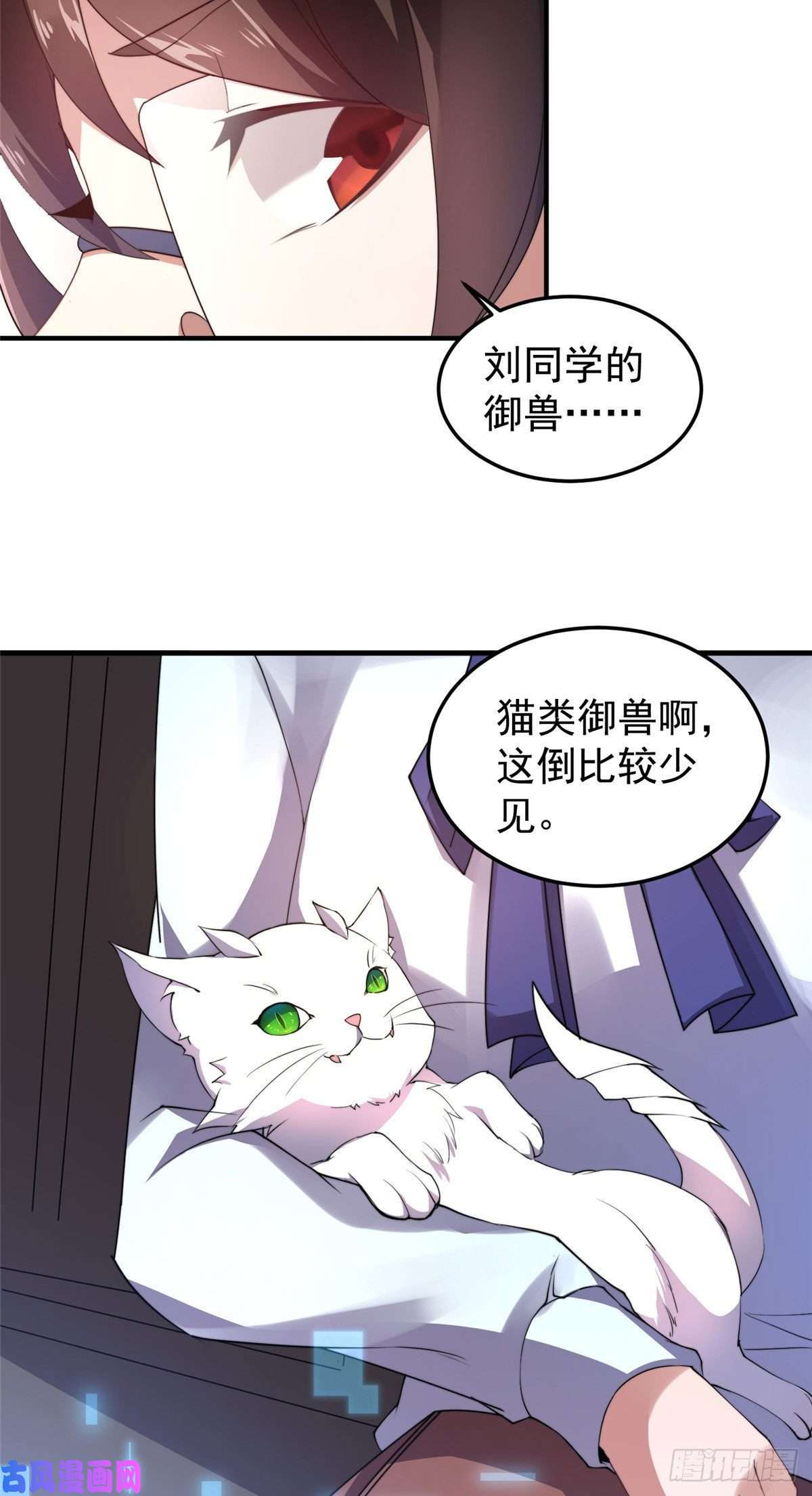 神宠进化023 薄荷猫