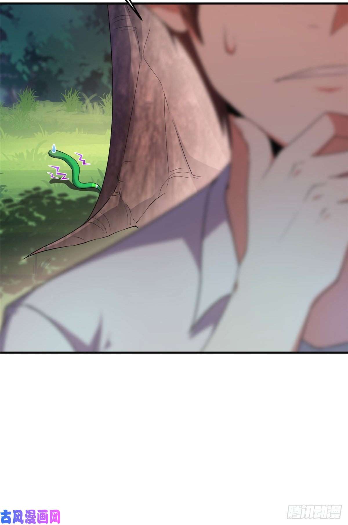 神宠进化032 青皮蛙