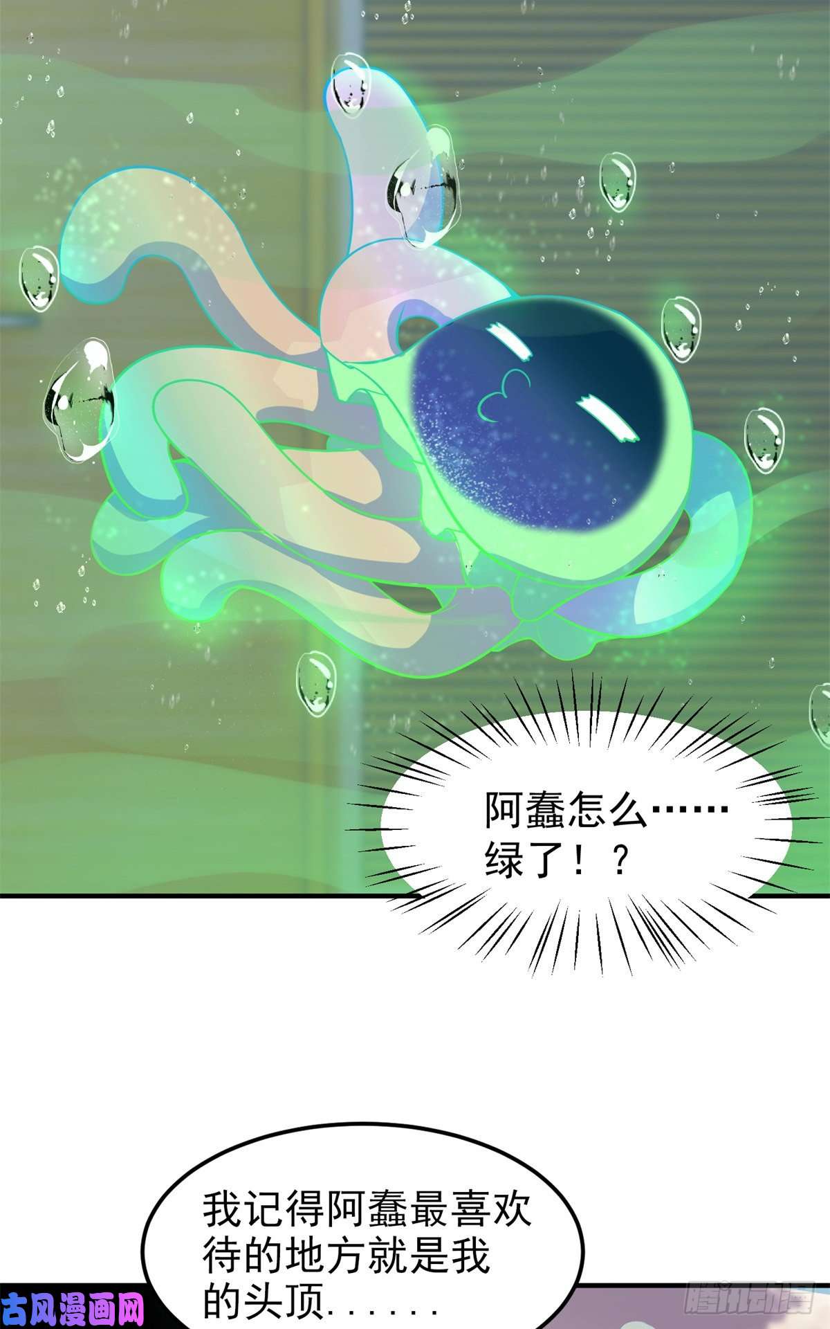 神宠进化050 我的帽子进化了