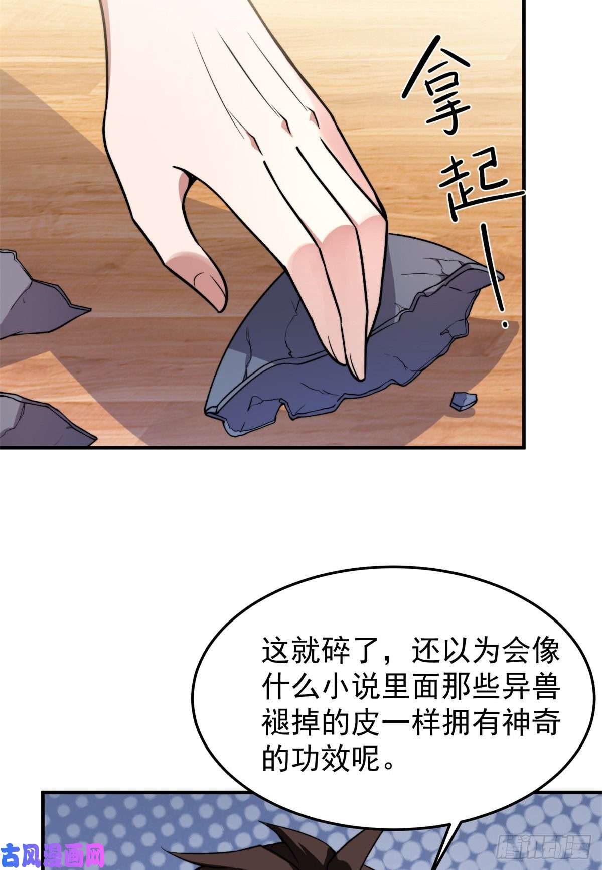 神宠进化050 我的帽子进化了