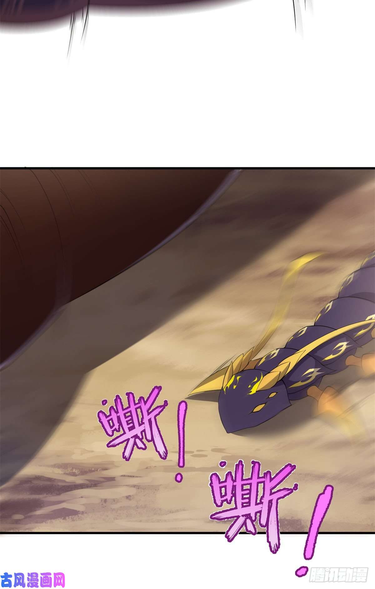 神宠进化057 集训终止