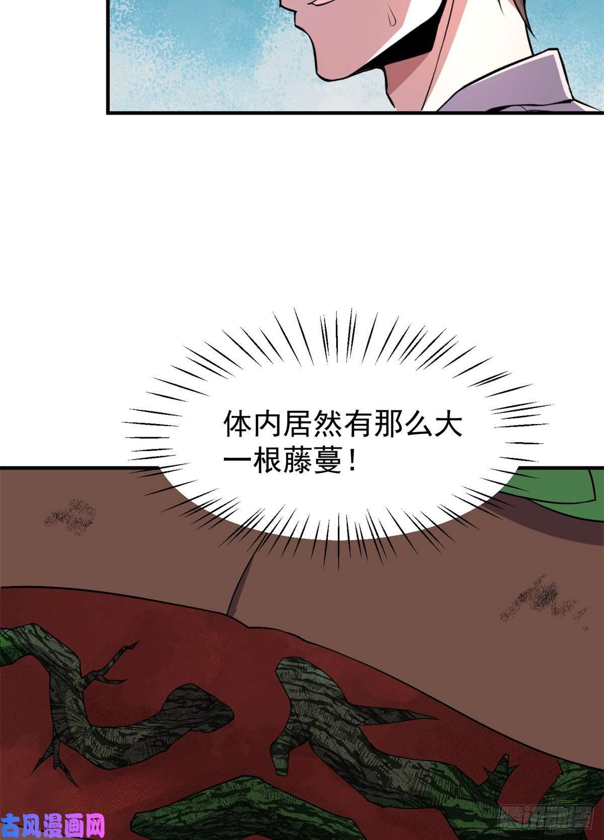 神宠进化057 集训终止