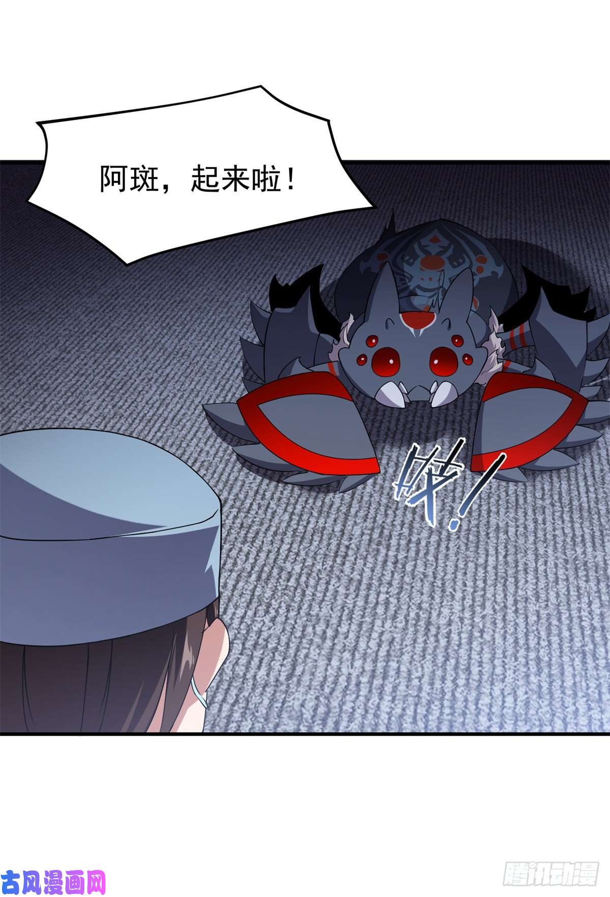 神宠进化058 进化完美品质