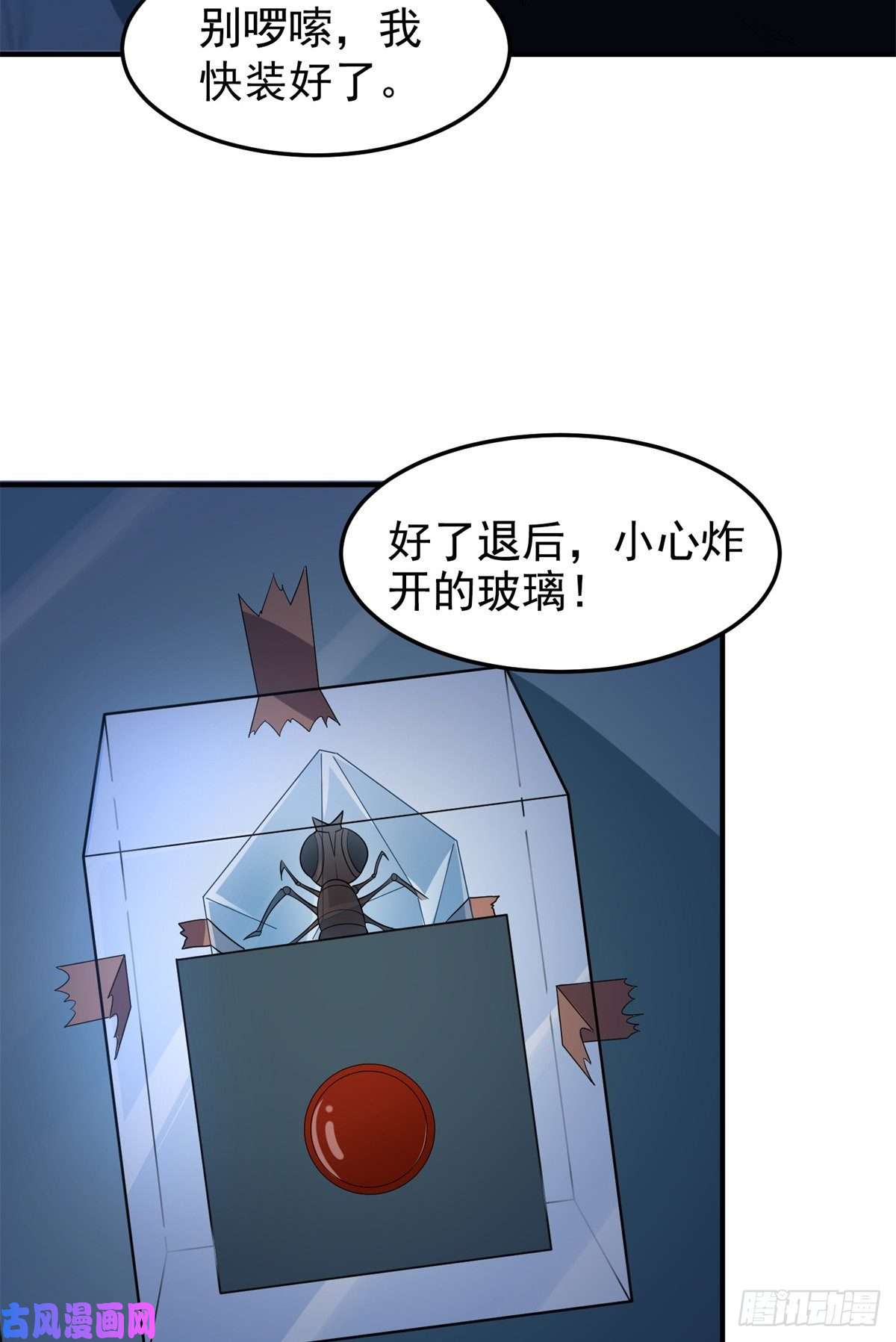 神宠进化058 进化完美品质