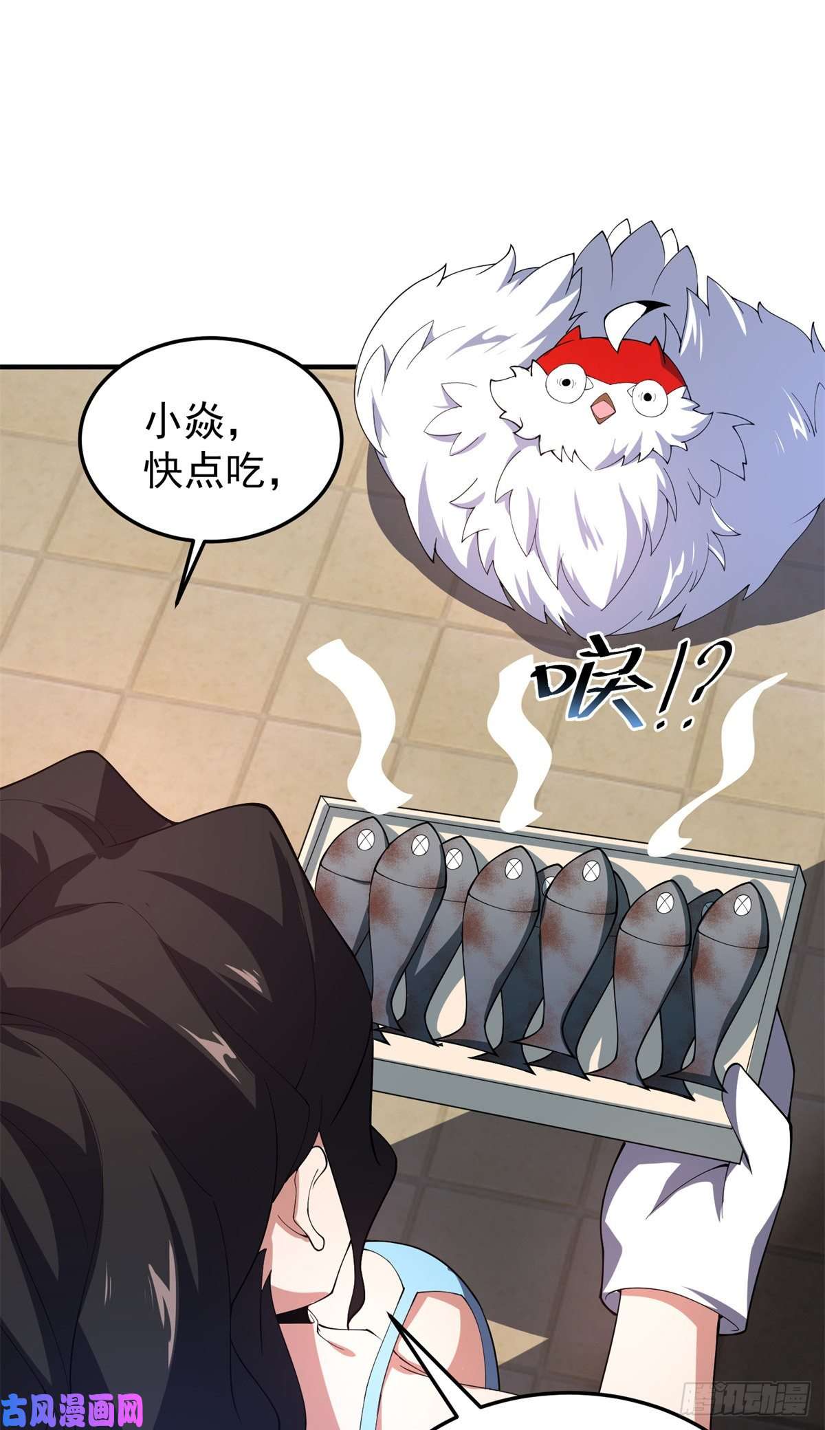 神宠进化66 大赛开始