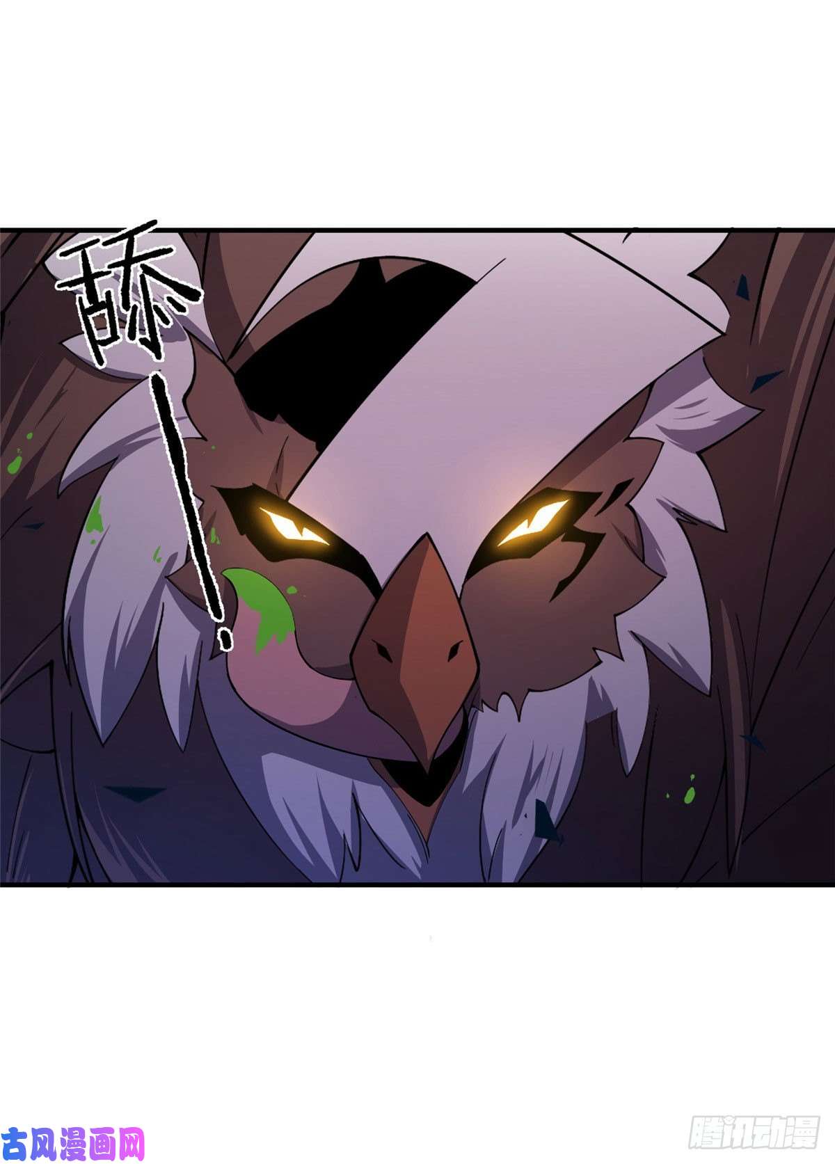 神宠进化75 排骨汤