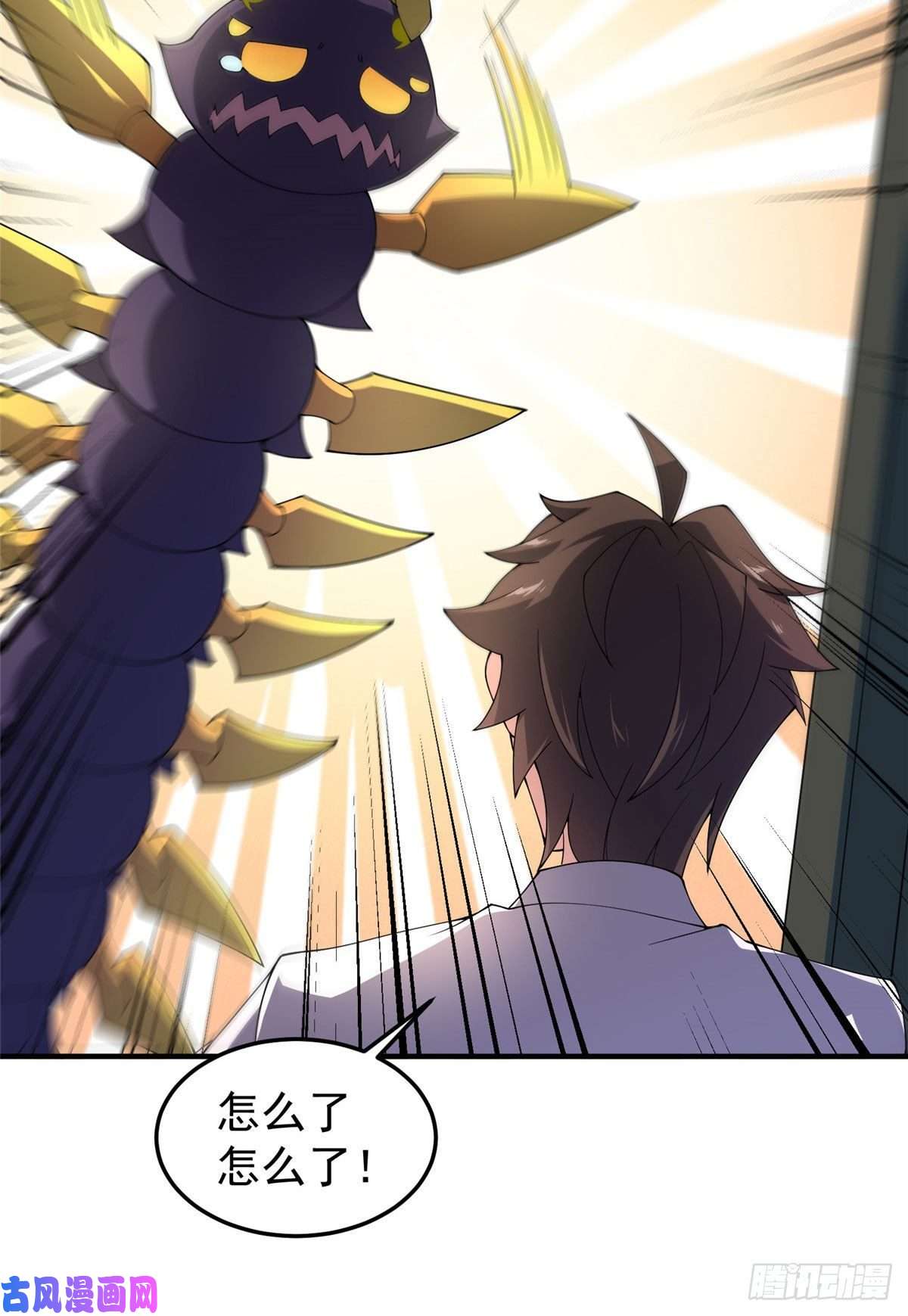 神宠进化75 排骨汤