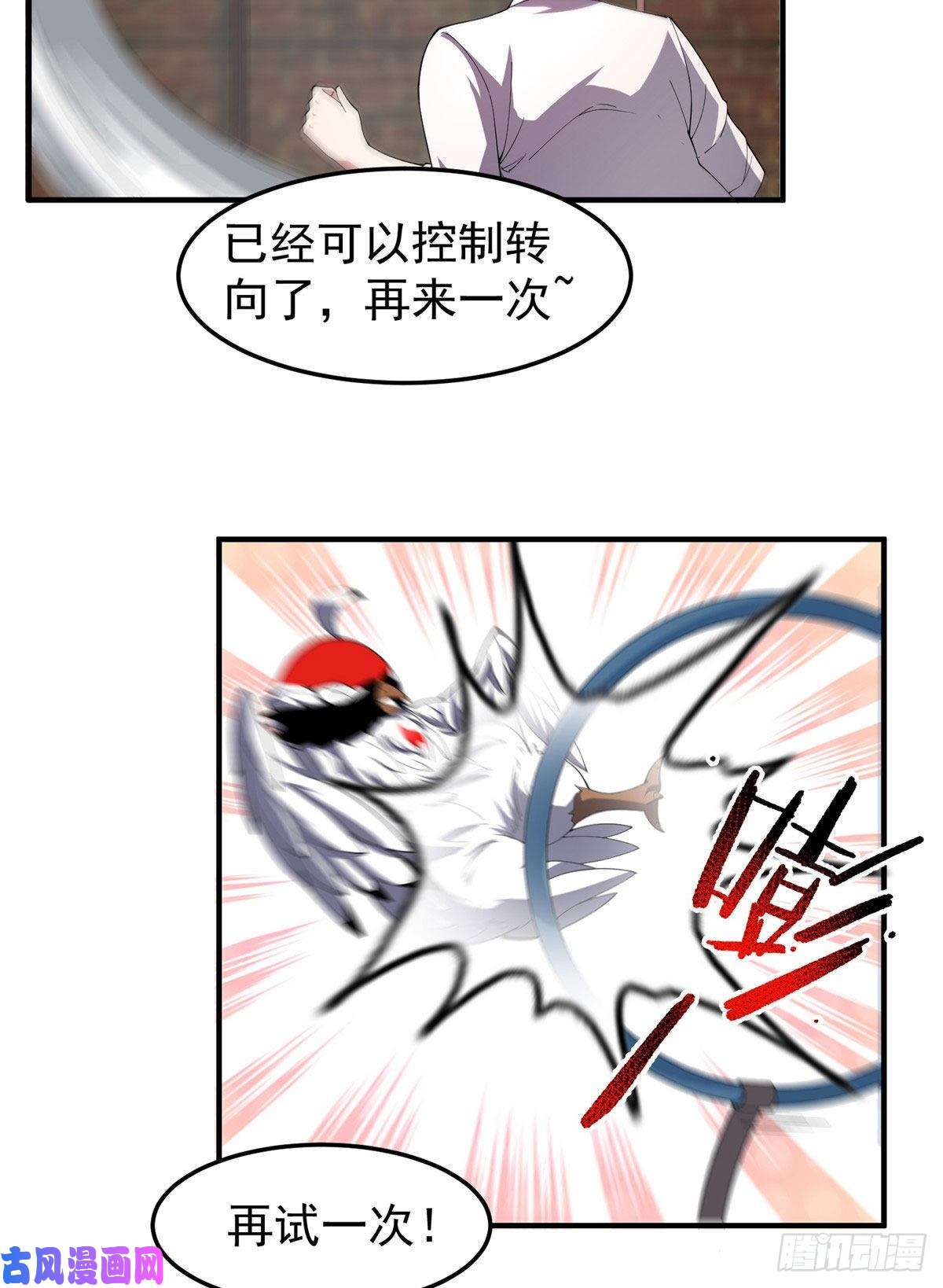 神宠进化77 肥鹤的突破
