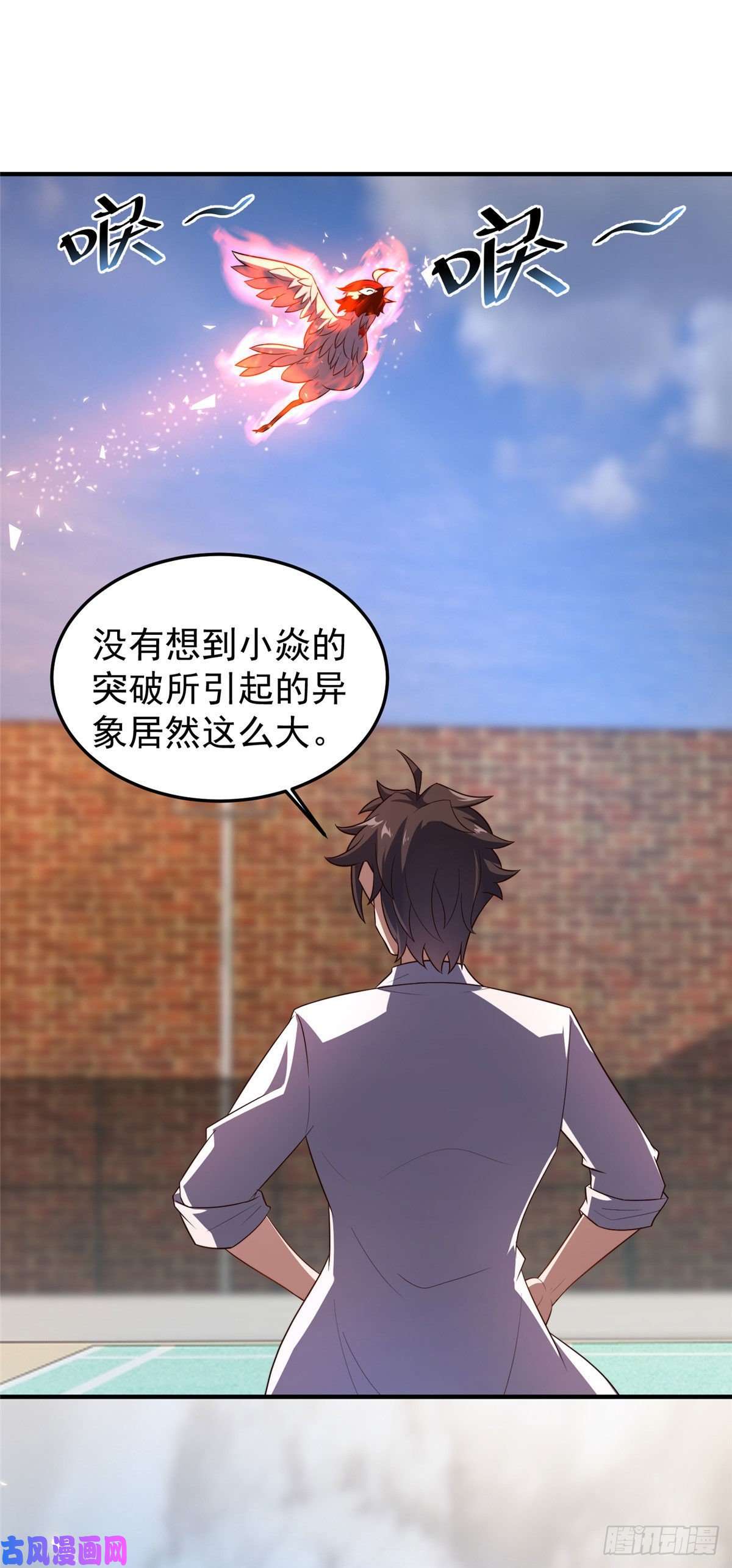 神宠进化78 训练场的小小影子