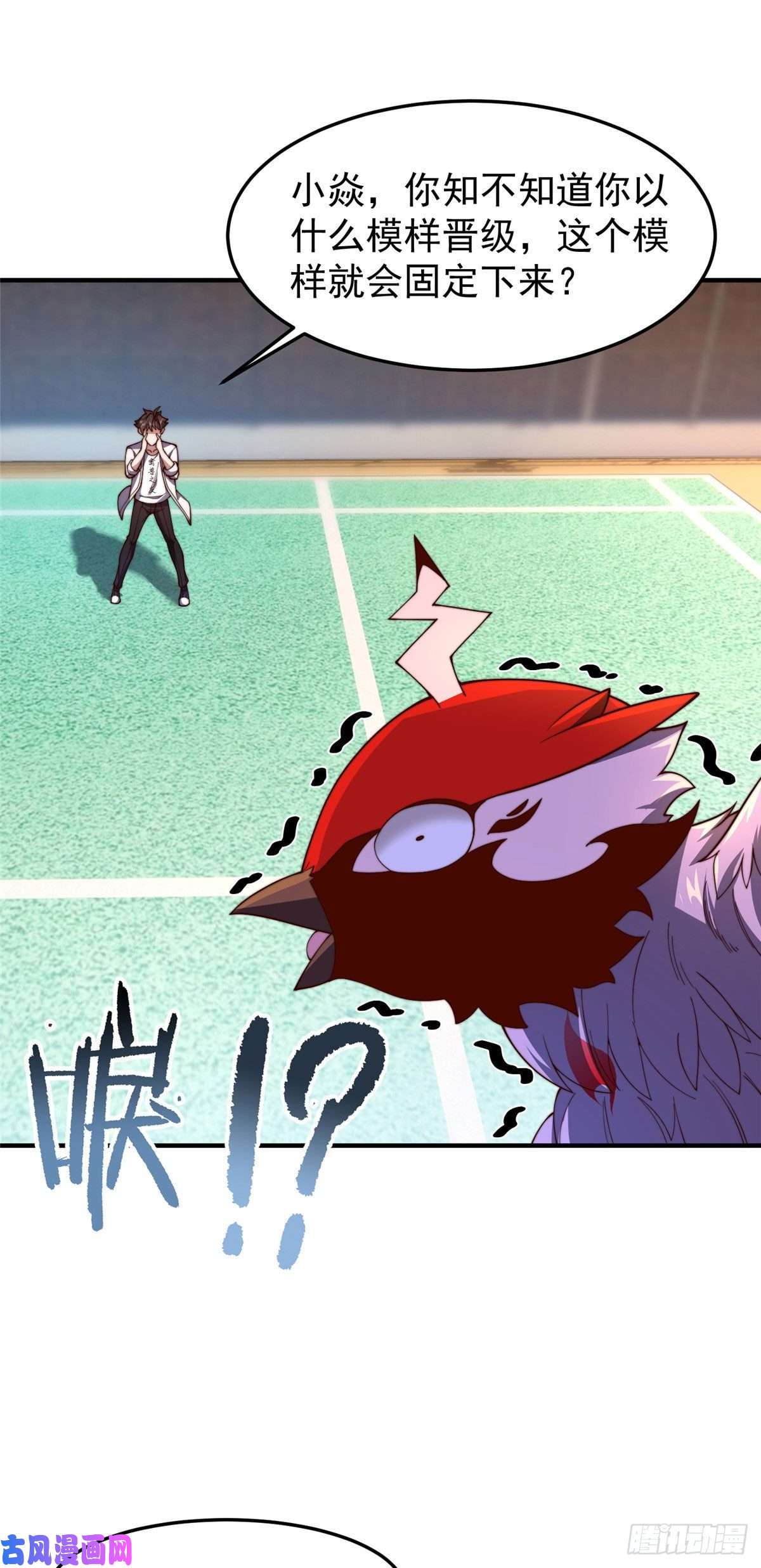 神宠进化78 训练场的小小影子