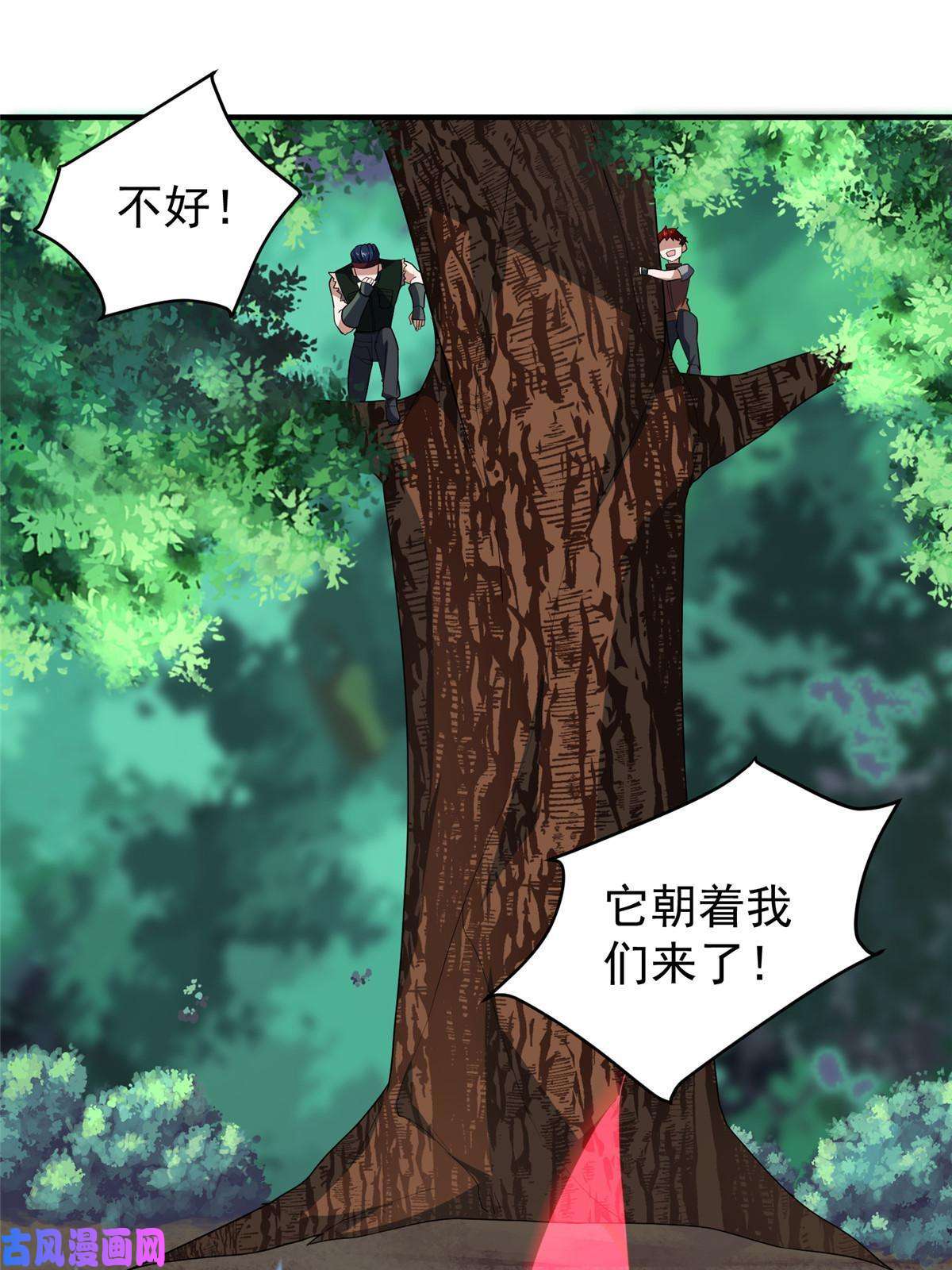 神宠进化80 龙血红砂鲤
