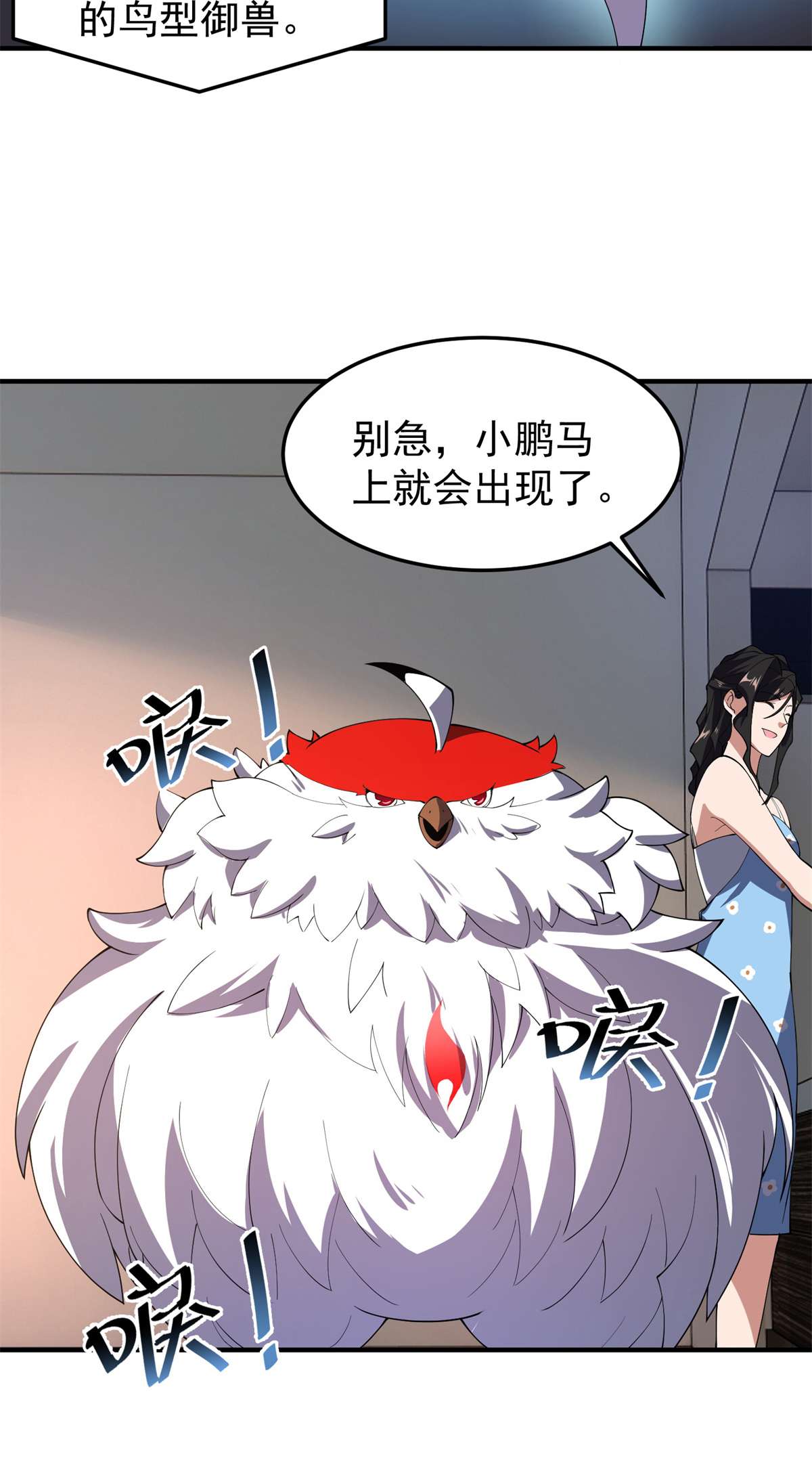 神宠进化066 大赛开始