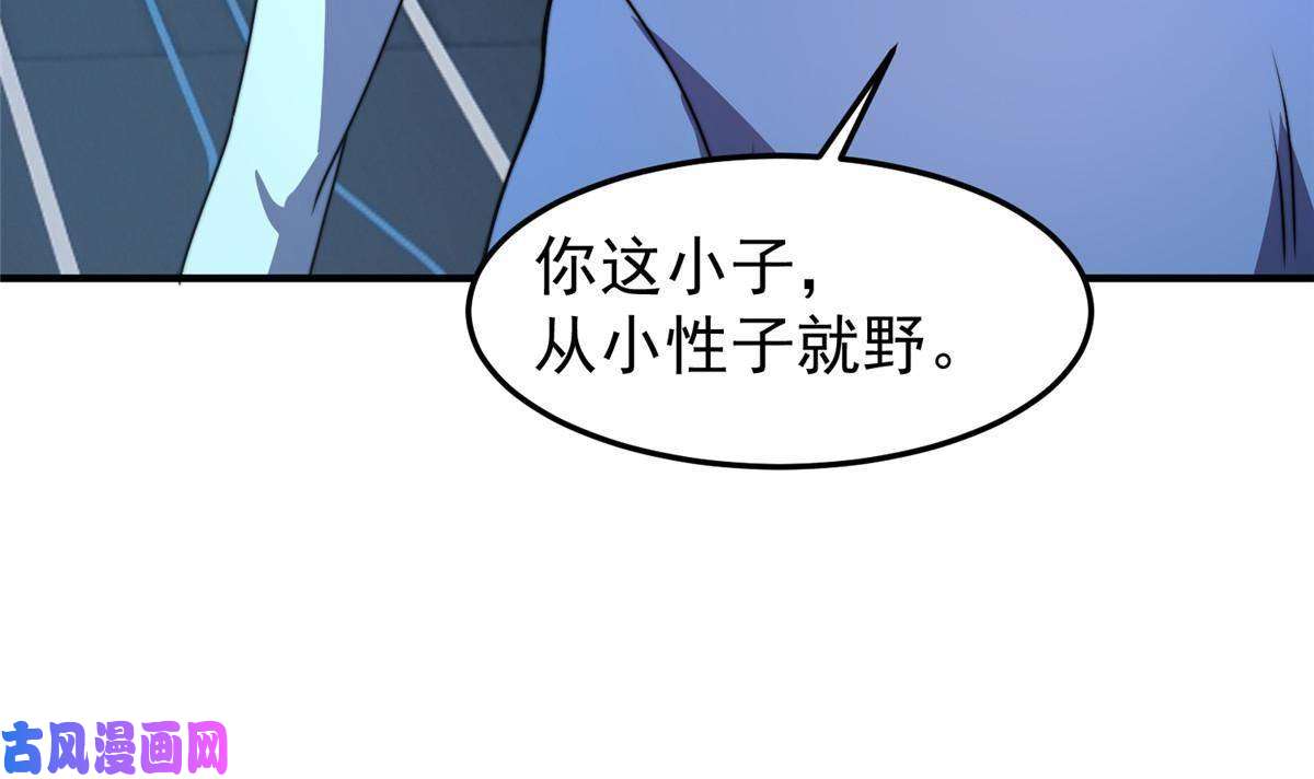 神宠进化85 雷公