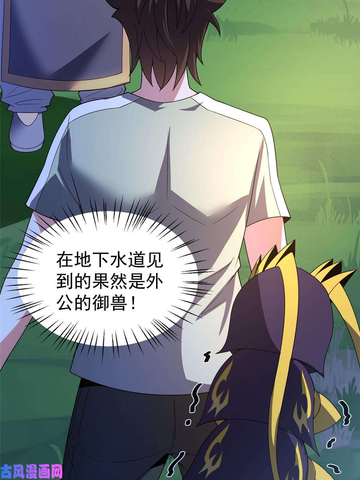 神宠进化85 雷公