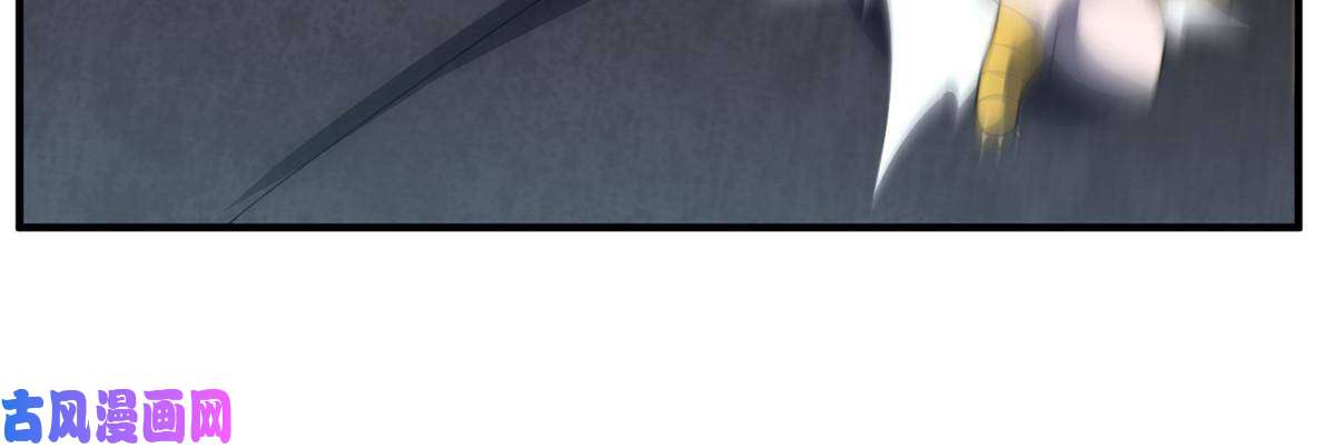 神宠进化95 意外之喜