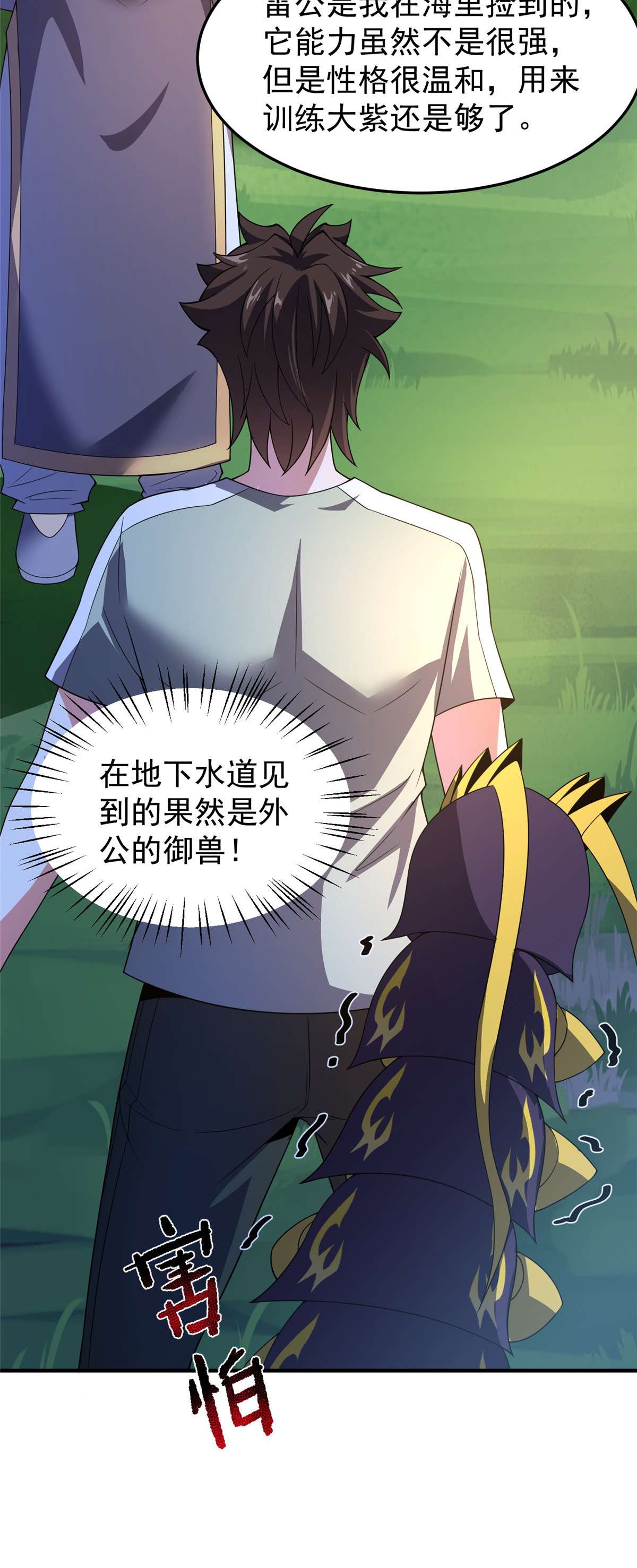 神宠进化085 雷公