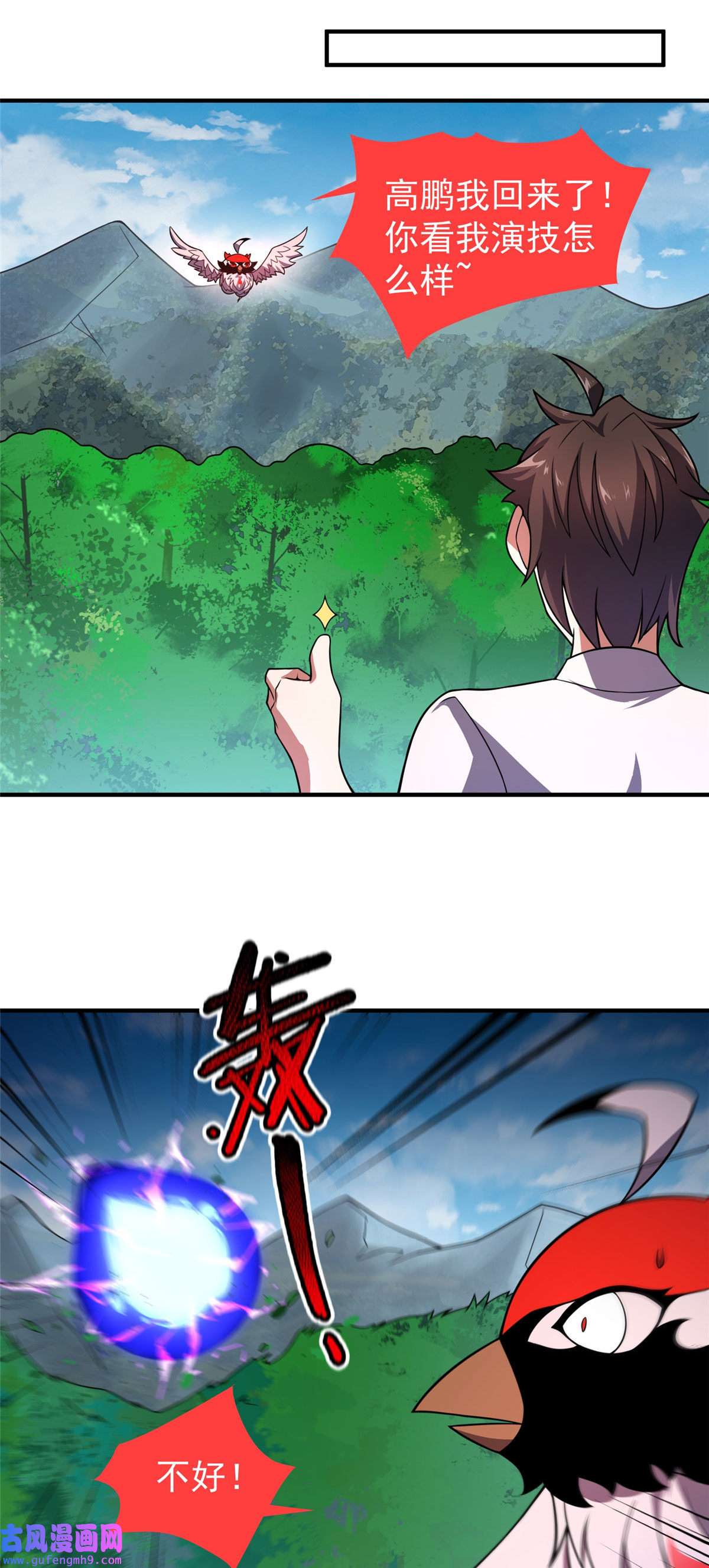 神宠进化112 木孔雀