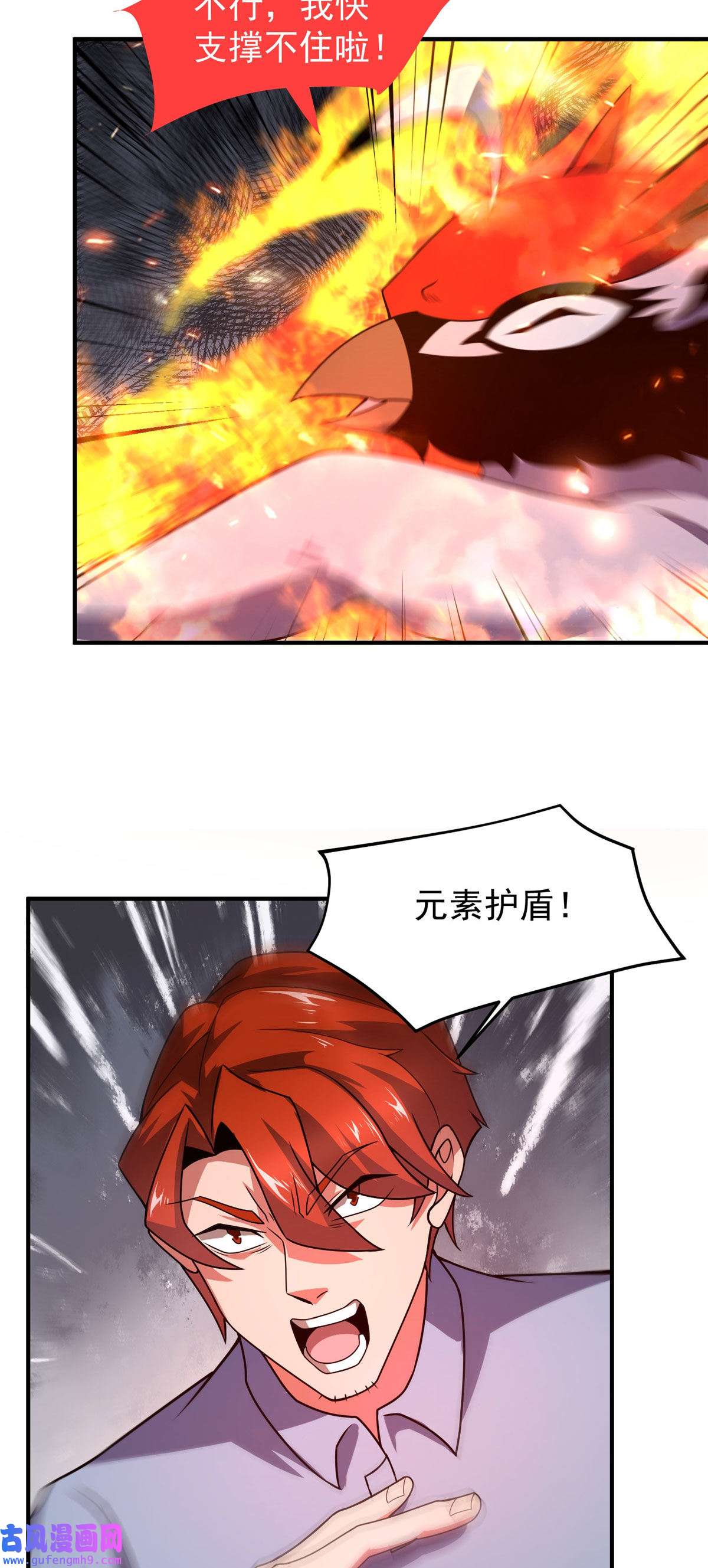 神宠进化112 木孔雀