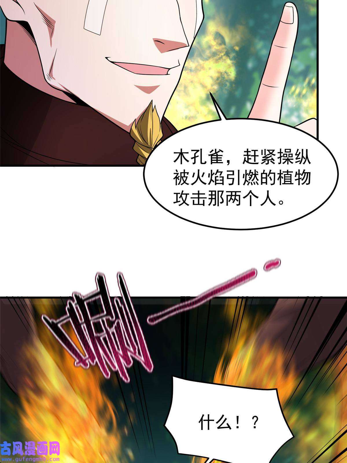 神宠进化113 激战
