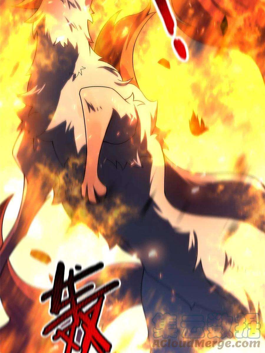 神宠进化129 驰援