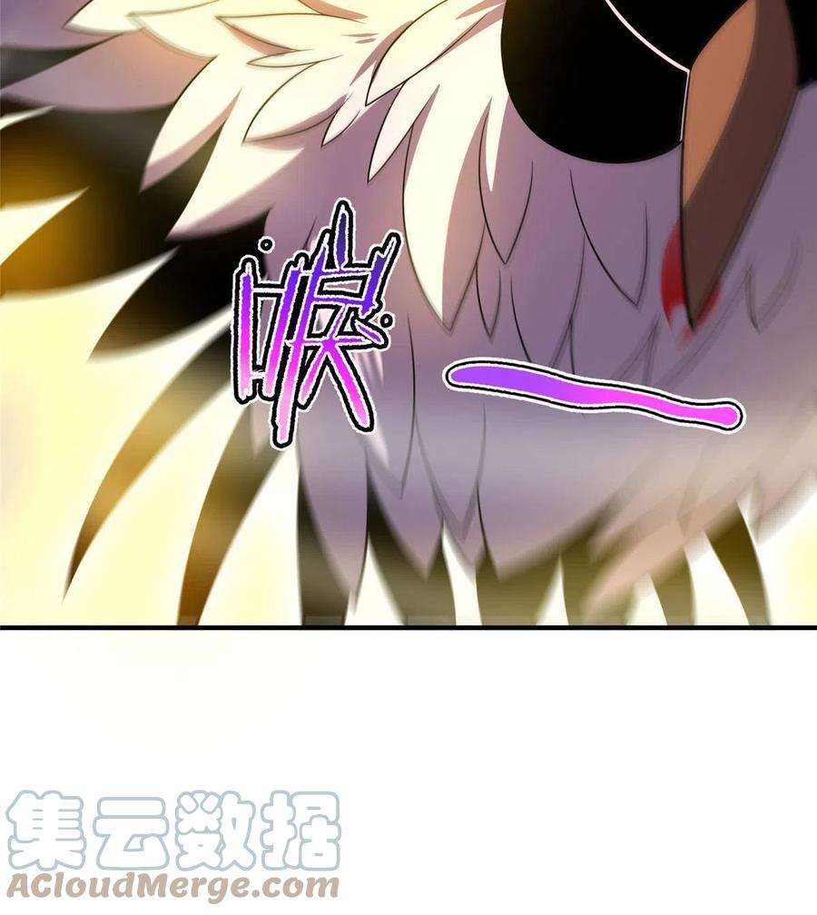 神宠进化129 驰援