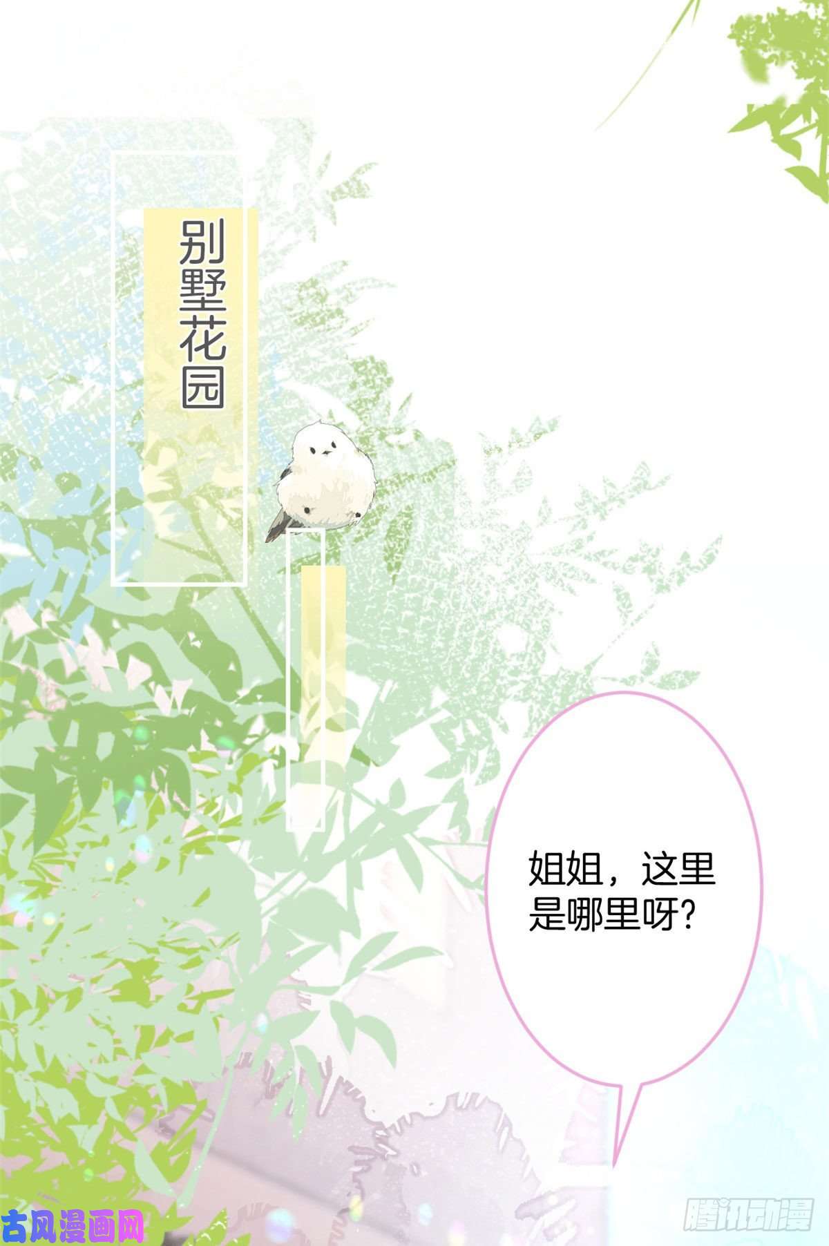 我有五个大佬爸爸10