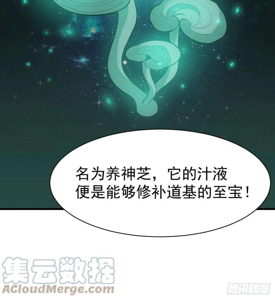 我只想被各位打死107话-自然门秘境