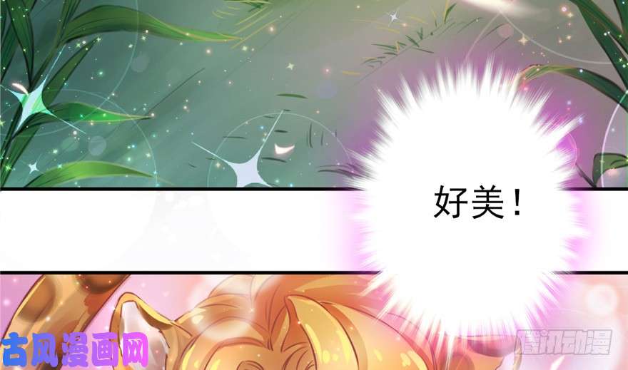 悠哉兽世：种种田，生生崽01