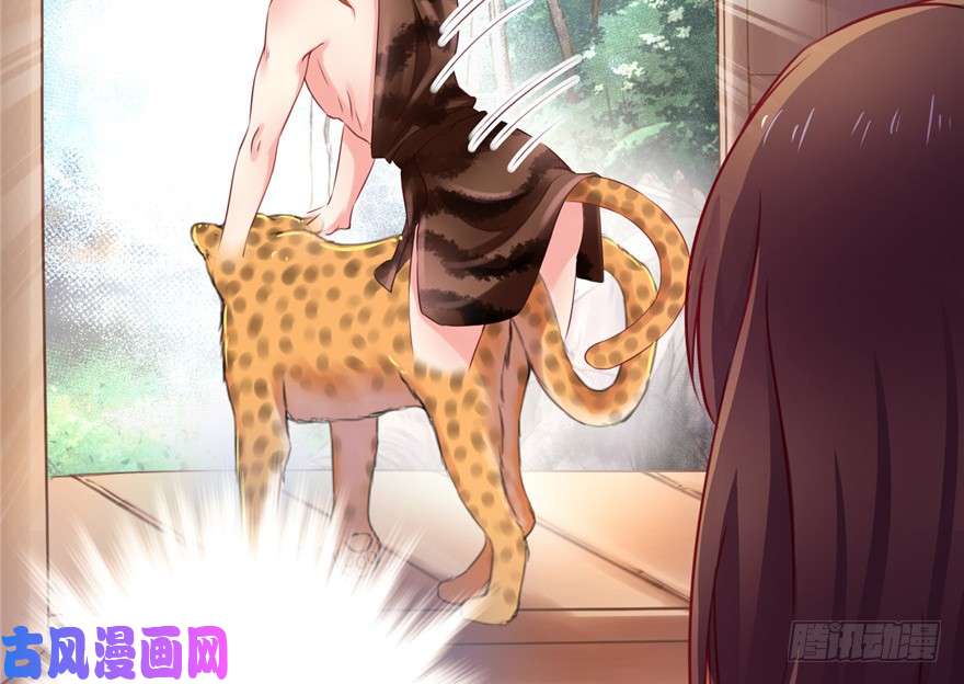 悠哉兽世：种种田，生生崽04