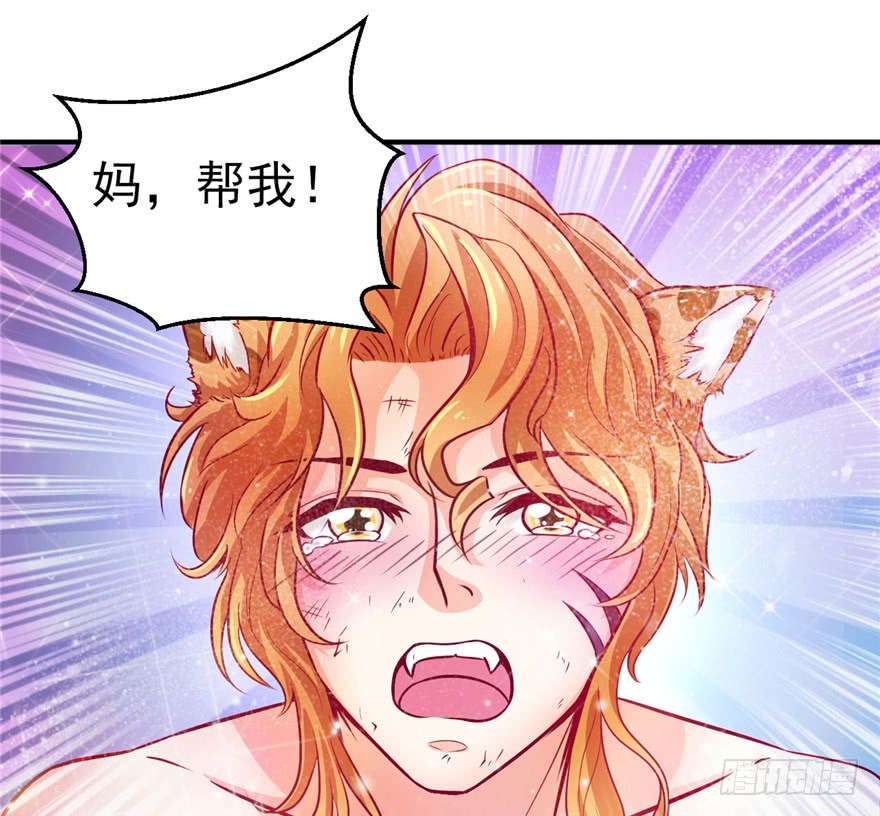 悠哉兽世：种种田，生生崽14