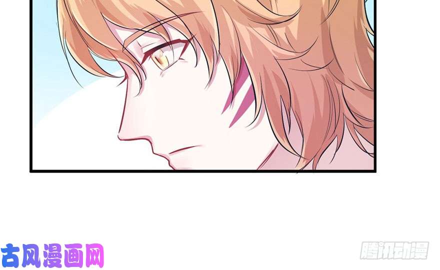 悠哉兽世：种种田，生生崽重要公告