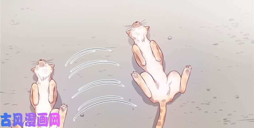 悠哉兽世：种种田，生生崽46