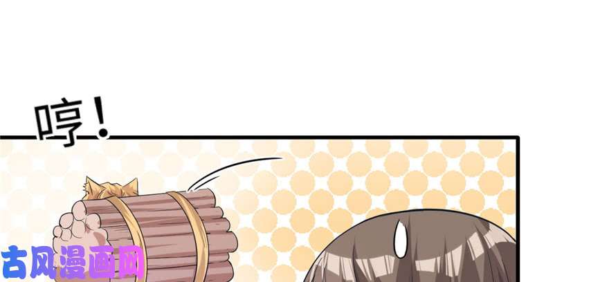 悠哉兽世：种种田，生生崽63